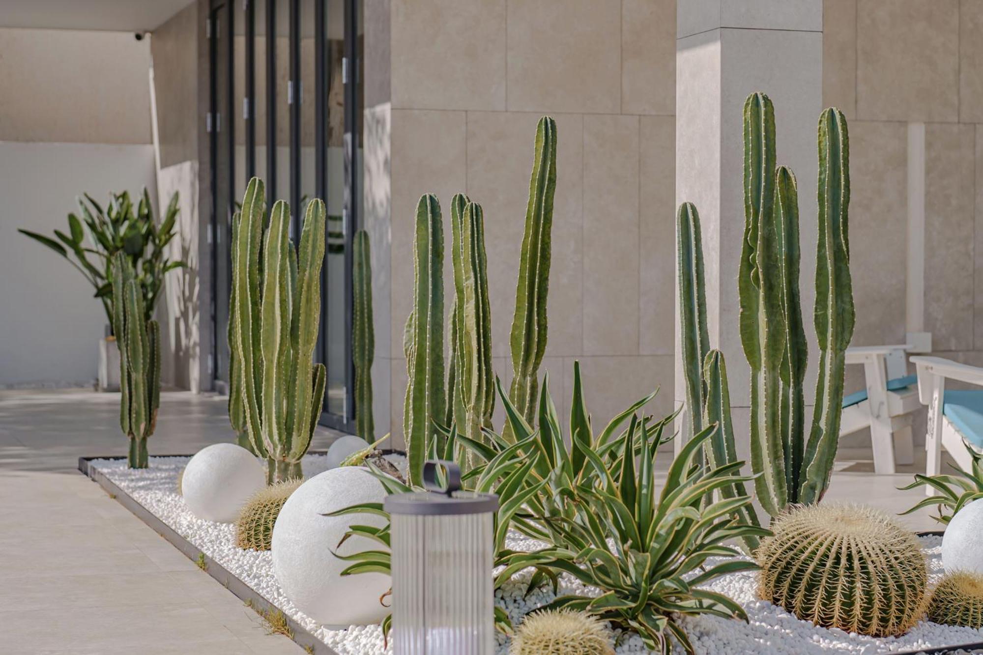 Dali Oriental Seaview Hotel -Dali Erhai Екстериор снимка
